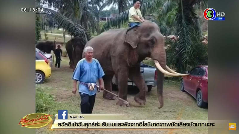 สิ้น พลายแสงจันทร์