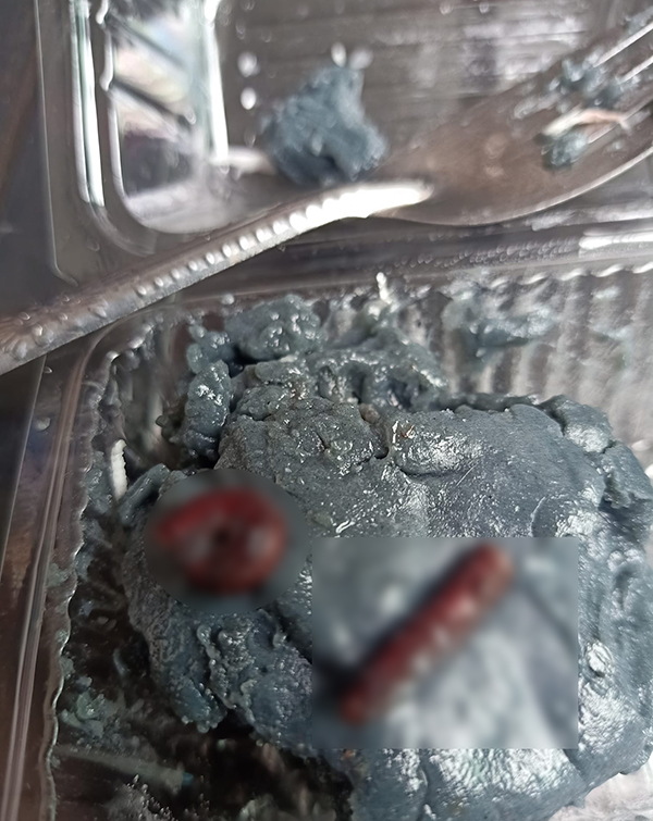 กิ้งกือในขนมเปียกปูน