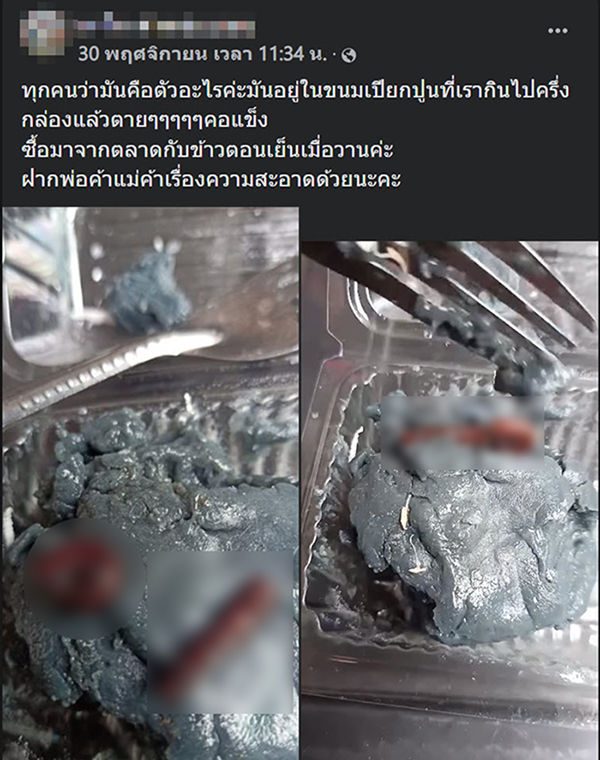 กิ้งกือในขนมเปียกปูน