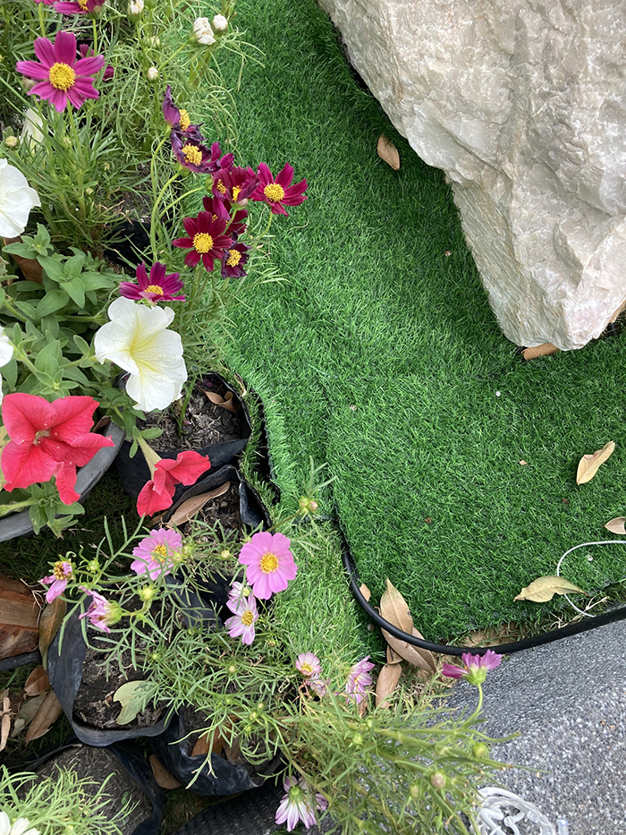 รีวิวคลองช่องนนทรี