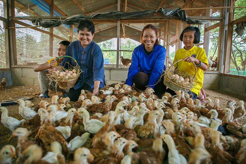 ดราม่า ภาพในน้ำมีปลาในนามีข้าว