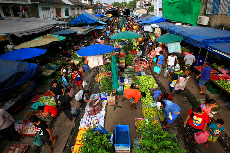 ดราม่า ภาพในน้ำมีปลาในนามีข้าว