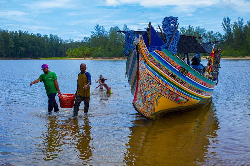 ดราม่า ภาพในน้ำมีปลาในนามีข้าว