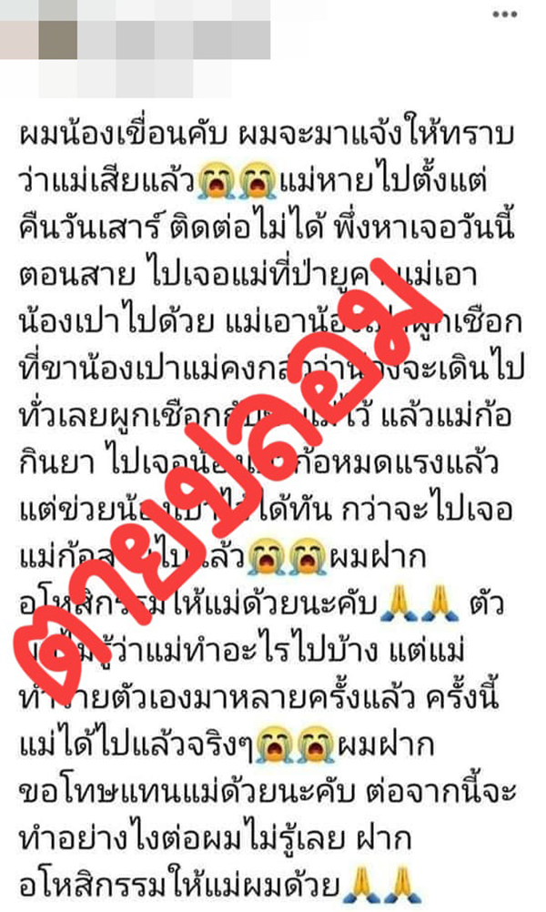 สรุปดราม่า ตายทิพย์