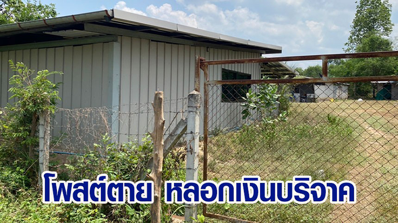 สรุปดราม่า ตายทิพย์