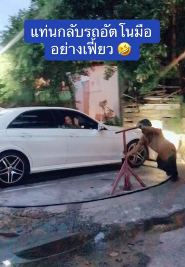 ที่จอดรถจานหมุน