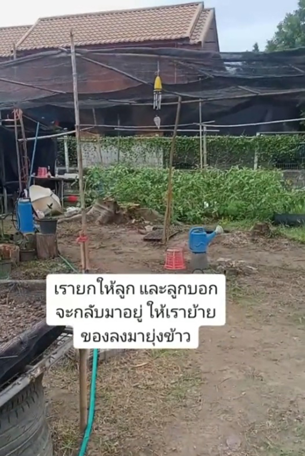 แม่ยกบ้านให้ลูก กลับโดนลูกไล่ให้ไปนอนในยุ้งข้าว