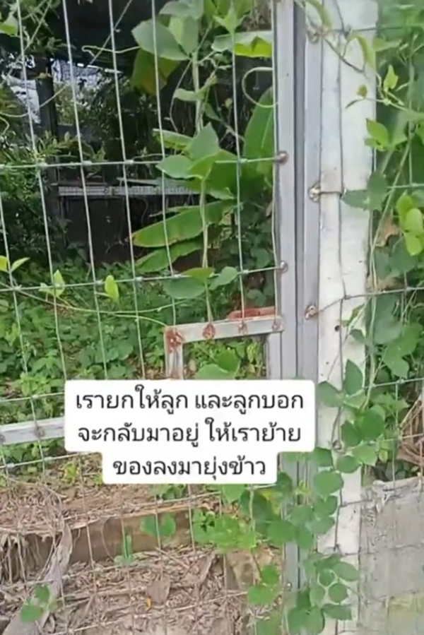 แม่ยกบ้านให้ลูก กลับโดนลูกไล่ให้ไปนอนในยุ้งข้าว