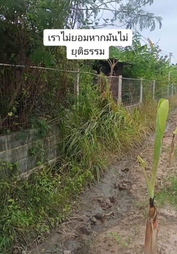 แม่ยกบ้านให้ลูก กลับโดนลูกไล่ให้ไปนอนในยุ้งข้าว