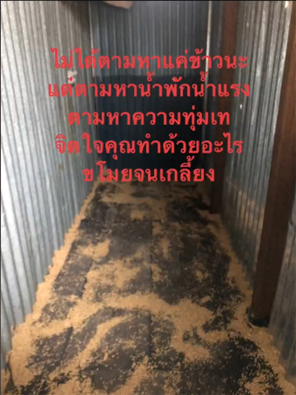 ขโมยข้าวชาวนา