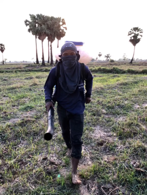 ขโมยข้าวชาวนา