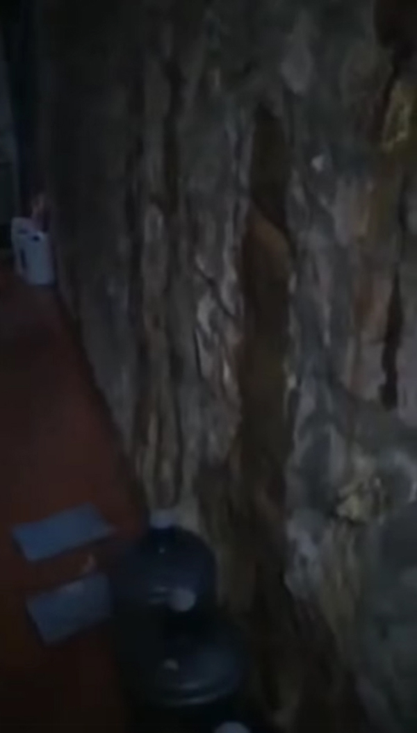 ดราม่า เพื่อนบ้านถมสูงเท่าหลังคา