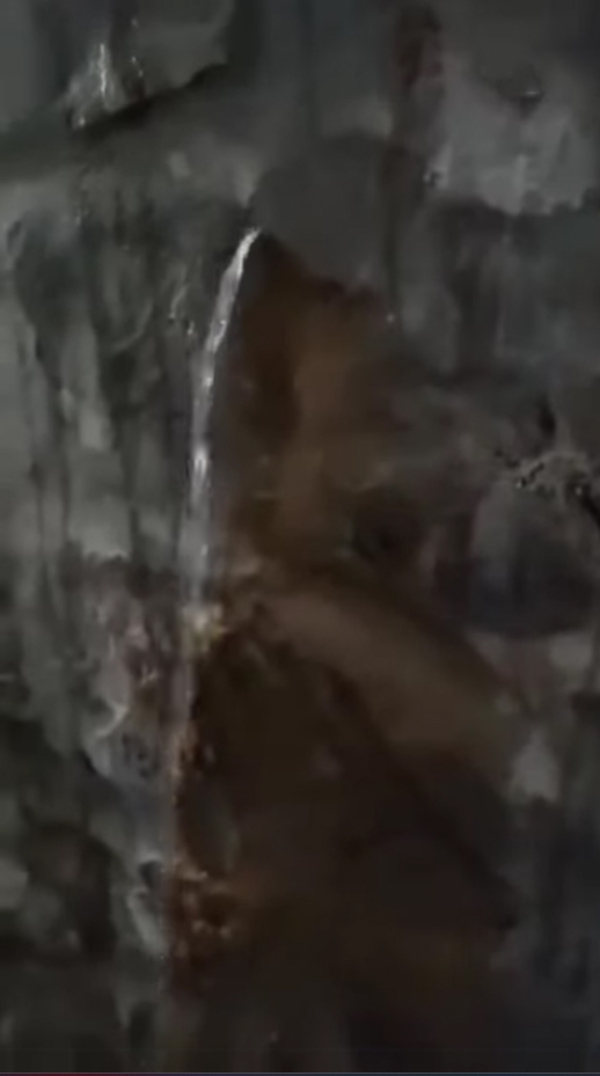 ดราม่า เพื่อนบ้านถมสูงเท่าหลังคา