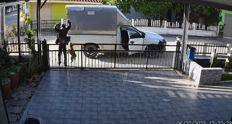 ไวรัล ความลับของคนส่งของ