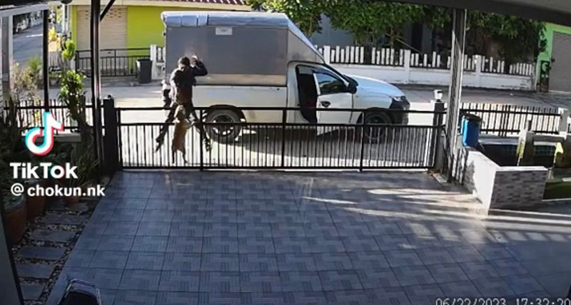 ไวรัล ความลับของคนส่งของ