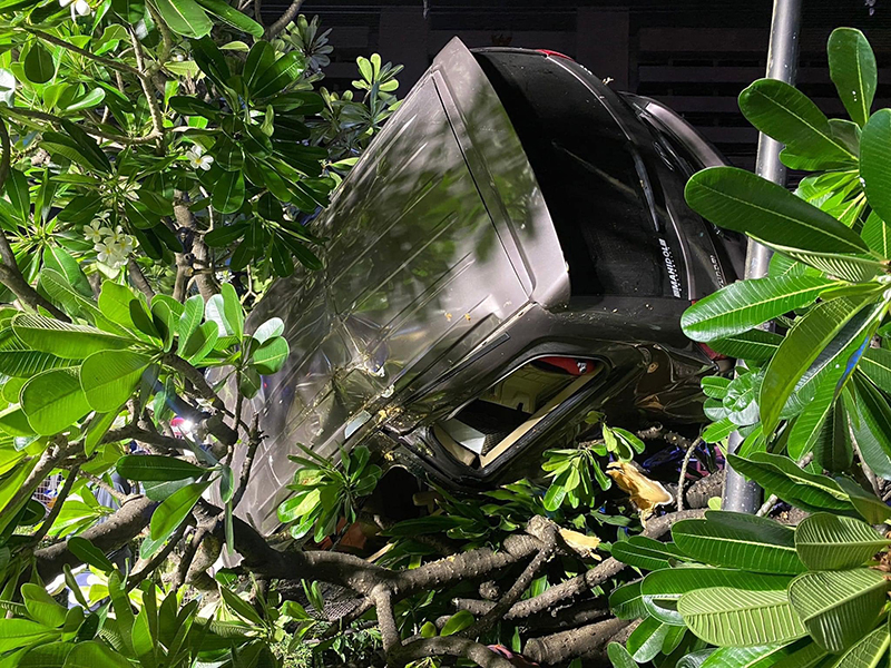 สาวสังเวยโค้งมรณะ รัชดา