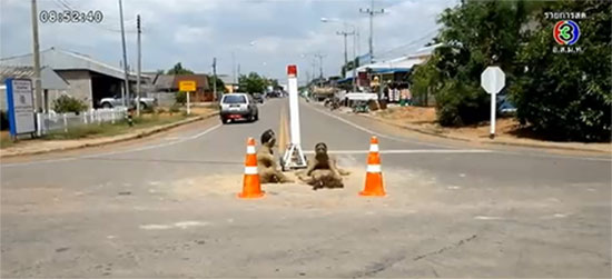 สั่งรื้อหุ่นชายหญิงร่วมเพศ หวั่นกระทบชื่อเสียงจังหวัดเพชรบูรณ์