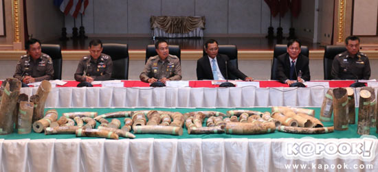 รวบแก๊งค้างาช้างข้ามชาติ ยึดของกลางล็อตใหญ่ได้กว่า 51 กิ่ง    