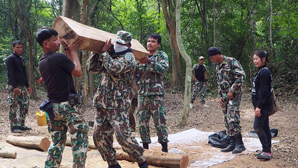 ไม้จันทน์หอม