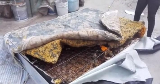 ตะลึง ! แฉสภาพด้านในที่นอนใหม่...เห็นแล้วสะเทือนใจเป็นที่สุด ตะลึง ! แฉสภาพด้านในที่นอนใหม่...เห็นแล้วสะเทือนใจเป็นที่สุด