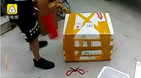 ส่งงูพิษ