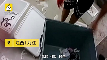 ส่งงูพิษ