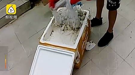 ส่งงูพิษ