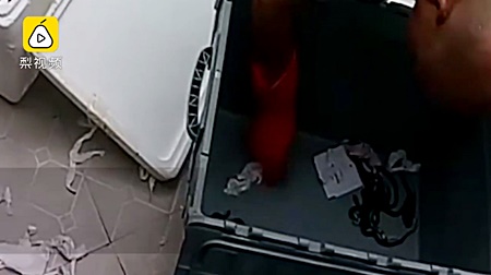 ส่งงูพิษ