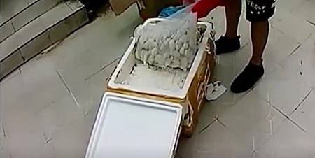 ส่งงูพิษ