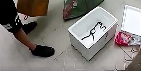 ส่งงูพิษ