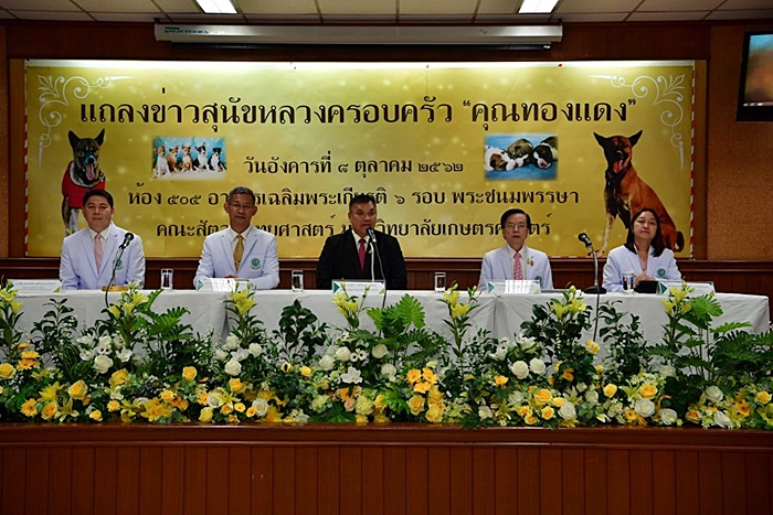 คณะสัตวแพทยศาสตร์ มหาวิทยาลัยเกษตรศาสตร์ 