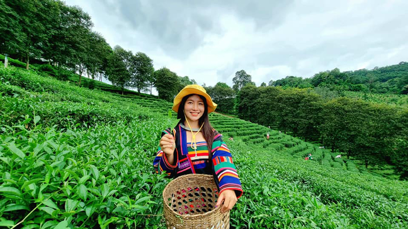 สาวอาข่าดาวTikTok