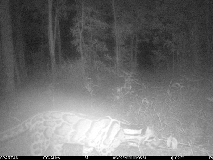 สัตว์ป่าสงวนใกล้สูญพันธุ์