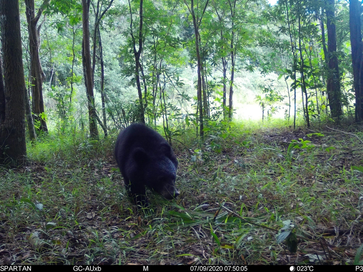 สัตว์ป่าสงวนใกล้สูญพันธุ์