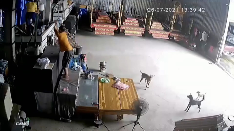 ศิษย์คลั่งล้างครู