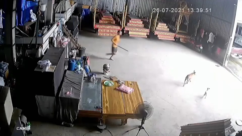 ศิษย์คลั่งล้างครู