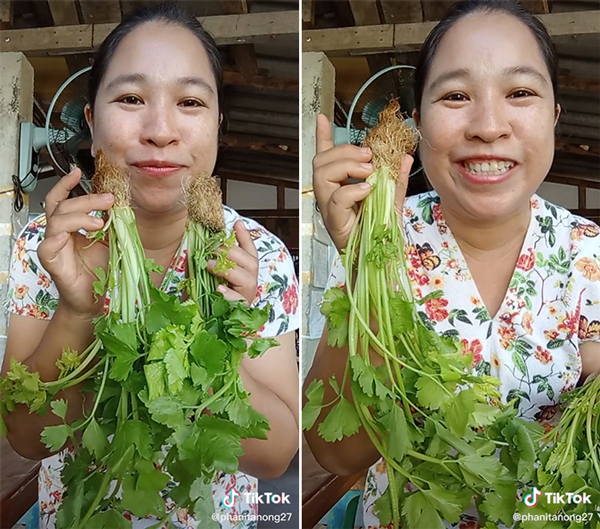 แม่ค้ายำโอดผักราคาแพง