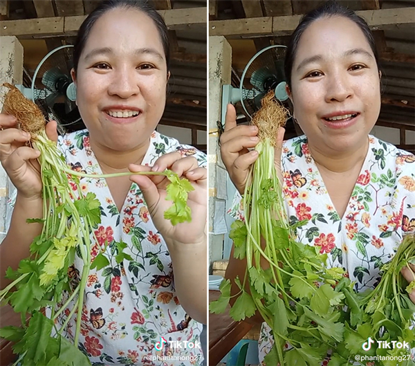 แม่ค้ายำโอดผักราคาแพง