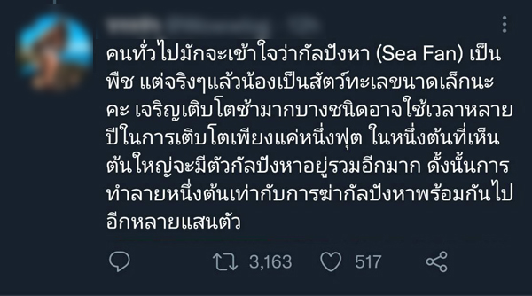 หนุ่มโพสต์ขายกัลปังหาสัตว์ป่าคุ้มครองทำคนรักทะเลใจสลาย