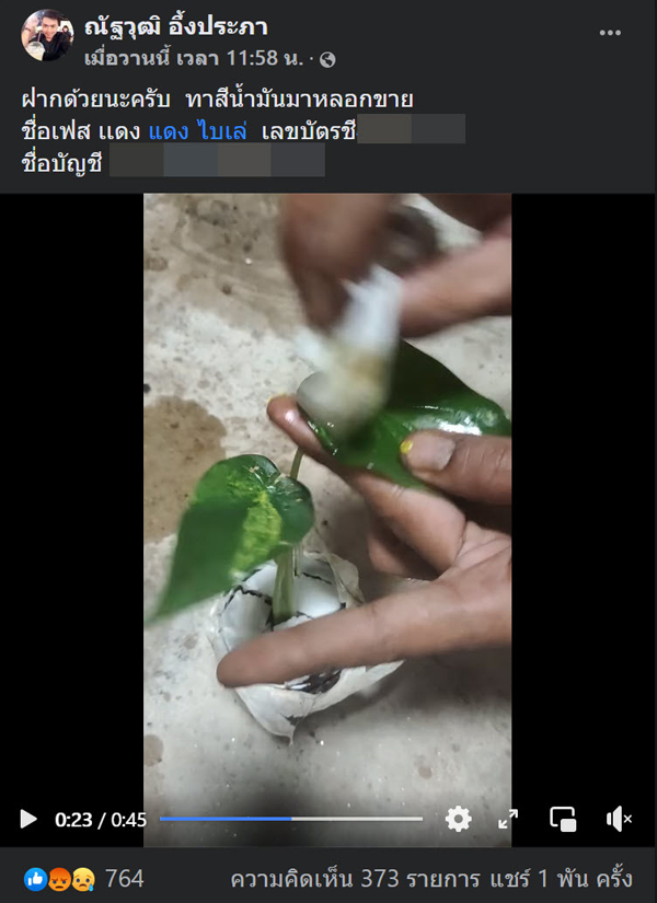  หนุ่มซื้อไม้ด่างโดนย้อมแมวด้วยสีน้ำมัน