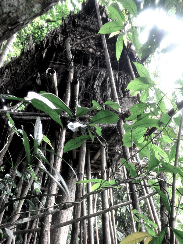 ปิดตำนานทาร์ซานตัวจริงที่ใช้ชีวิตในป่า41ปี