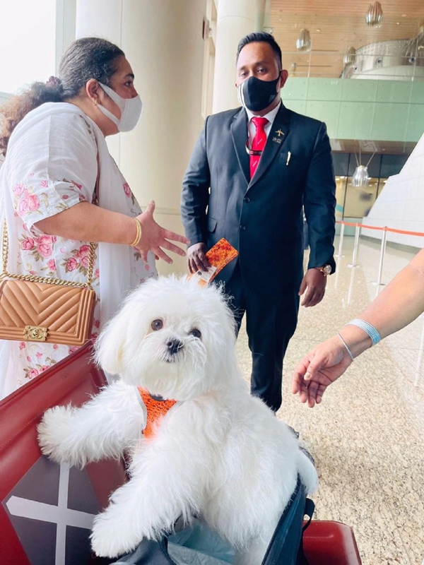 เศรษฐินีอินเดียเหมาที่นั่งชั้นธุรกิจให้น้องหมาแสนรัก