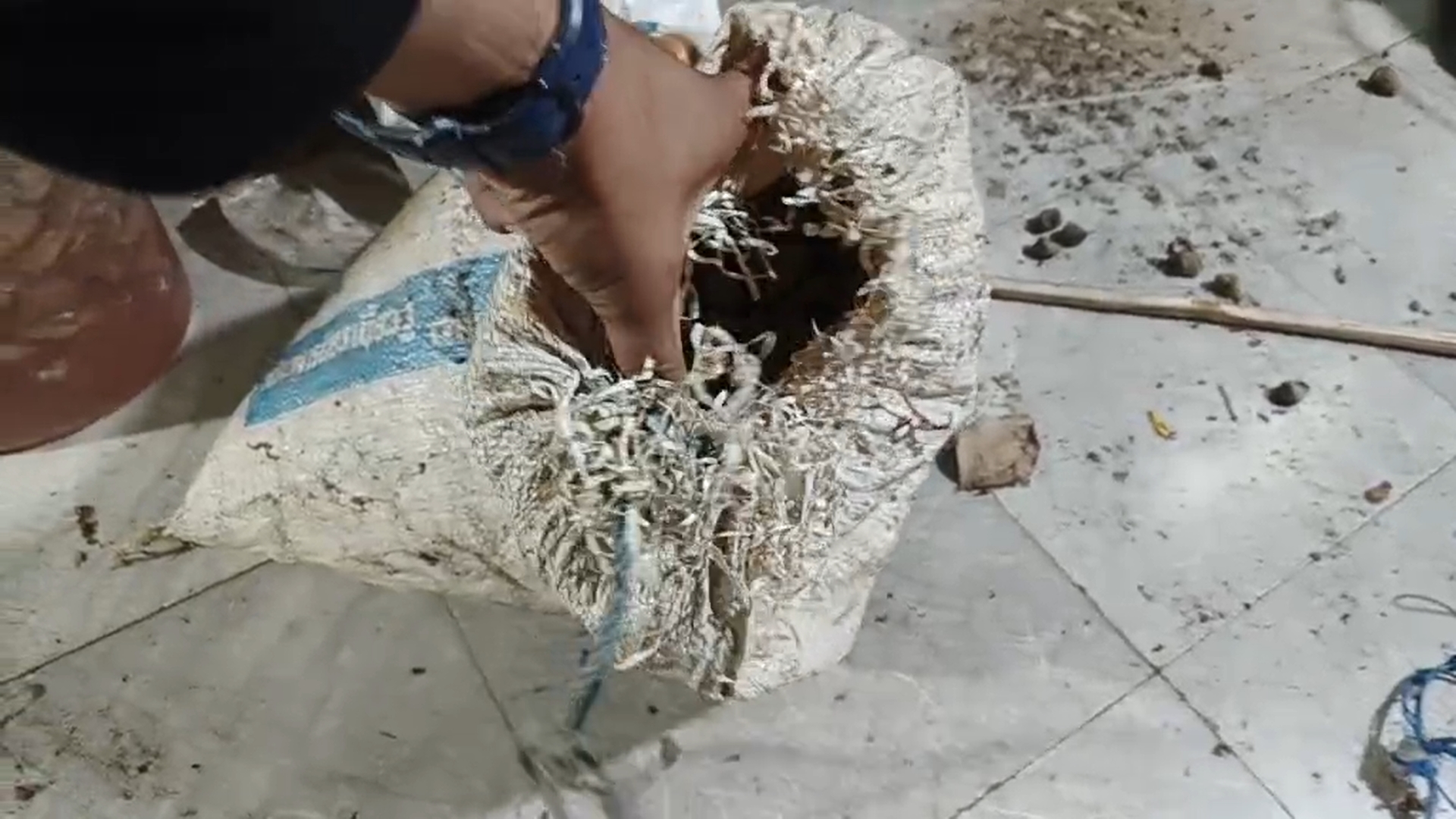 เก็บเห็ดป่ามากิน