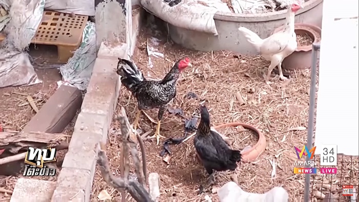 เพื่อนบ้านโวย