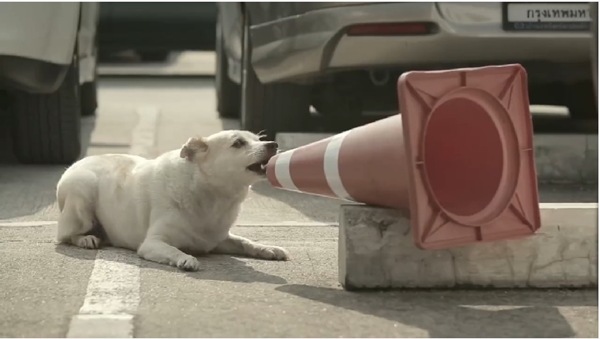 เมื่อชายคนหนึ่งให้ลูกชิ้นกับน้องหมา ผลตอบแทนมันช่างแสนน่ารัก