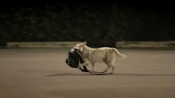 เมื่อชายคนหนึ่งให้ลูกชิ้นกับน้องหมา ผลตอบแทนมันช่างแสนน่ารัก