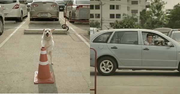 เมื่อชายคนหนึ่งให้ลูกชิ้นกับน้องหมา ผลตอบแทนมันช่างแสนน่ารักเมื่อชายคนหนึ่งให้ลูกชิ้นกับน้องหมา ผลตอบแทนมันช่างแสนน่ารัก