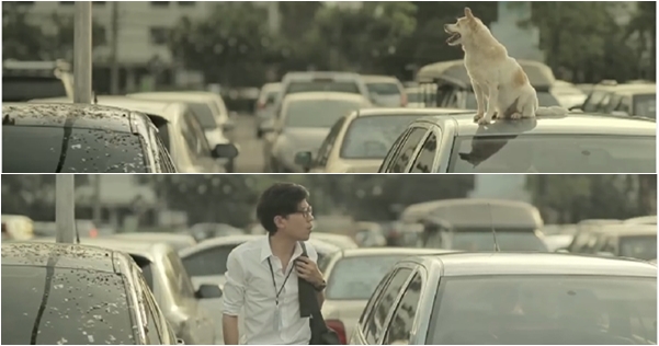 เมื่อชายคนหนึ่งให้ลูกชิ้นกับน้องหมา ผลตอบแทนมันช่างแสนน่ารัก