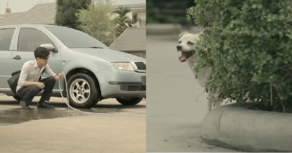 เมื่อชายคนหนึ่งให้ลูกชิ้นกับน้องหมา ผลตอบแทนมันช่างแสนน่ารักเมื่อชายคนหนึ่งให้ลูกชิ้นกับน้องหมา ผลตอบแทนมันช่างแสนน่ารักเมื่อชายคนหนึ่งให้ลูกชิ้นกับน้องหมา ผลตอบแทนมันช่างแสนน่ารัก