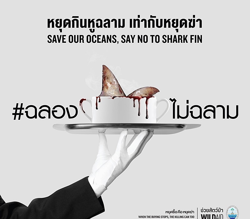 ฉลองไม่ฉลาม 